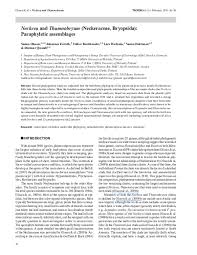 Attēlu rezultāti vaicājumam “Neckera complanata sporophyte”