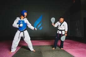 Image result for ATA Martial Arts Maple Ridge