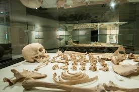 Image result for 土井ヶ浜遺跡　視線　故郷