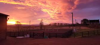 Image result for Dalkeith Park Equestrian Club
