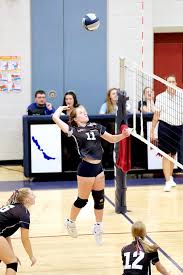 Image result for Meadows Sports Association