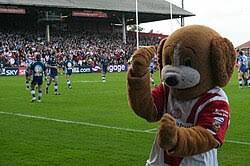 Image result for St Helens Rugby League Football Club