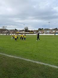 Image result for Torpoint Athletic Football Club