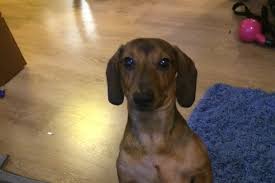 Image result for site:buyreklama.ru/*