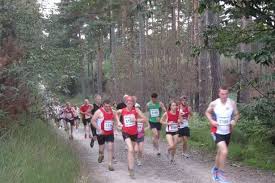 Image result for Finch Coasters Running Club