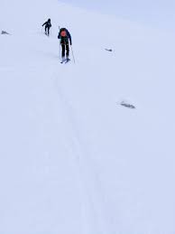 Image result for Gordon Skiers