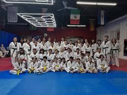 Image result for Utf Jaguar Tkd