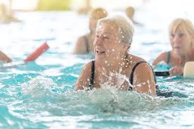 Image result for Meridian Sub-Aqua London