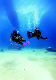 Image result for Divemaster Scuba