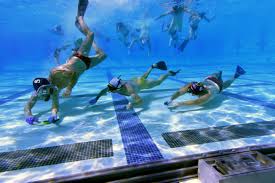 Image result for Underwater Hockey Ireland