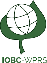 Attēlu rezultāti vaicājumam “Ena montana”