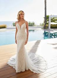 Image result for cosmobella