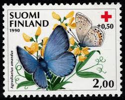 Attēlu rezultāti vaicājumam “Agrodiaetus amandus male”