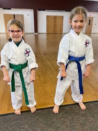 Image result for Ji Shin Do Karate