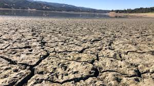 Attēlu rezultāti vaicājumam “Diarsia florida”