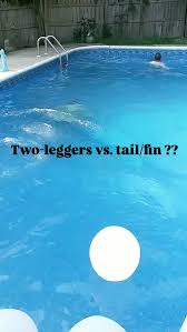 Image result for Swansea Finswimming Club