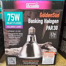 Risultati immagini per arcadia basking solar flood