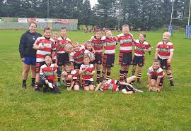 Image result for Llangennech Rfc