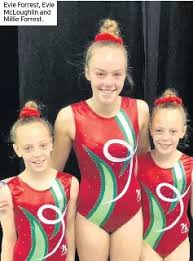 Image result for Usk Valley Trampoline Club