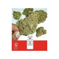 Resultado de imagen para la marihuana channel