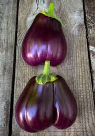 Afbeeldingsresultaat voor melanzana prosperosa eggplant