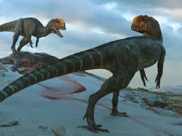 Image result for Jurassic