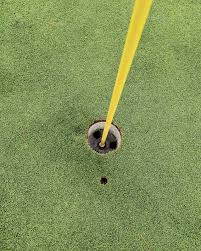 Image result for Whitehall Golf Club