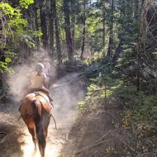 Image result for Cliff Hatch Stables