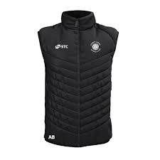 Image result for Civil Service (Ipswich) Netball Club