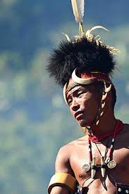 Kuvahaun tulos haulle nagas