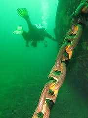 Image result for Derby Bsac