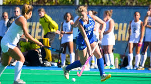 Image result for Winchester Hockey Club