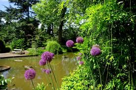 Image result for Arboretum Trompenburg
