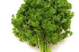 Image result for Petersilie
