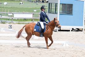 Image result for Ayr Riding Club