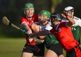 Image result for hurling