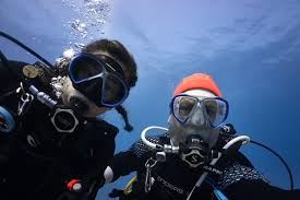 Image result for Seabug Divers