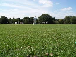 Image result for Tadworth Cricket Club