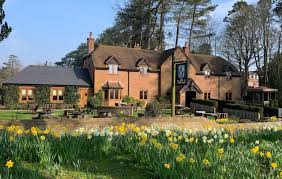 Image result for Royal Tunbridge Wells Croquet Club