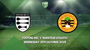 Image result for Banstead Athletic Fc