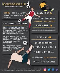 Image result for Manor Colts Youth Football Club