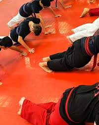 Image result for Surrey Ju - Jitsu Kick Boxing Club