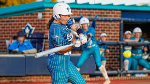 Image result for Oblivion Softball Club