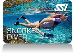 Image result for Seaquest Divers