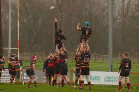Image result for Avonmouth Old Boys Rugby Football Club