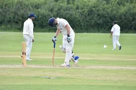 Image result for Nazeing Common Cricket Club