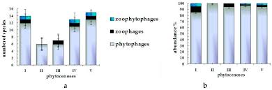 Attēlu rezultāti vaicājumam “Psallus sp. imago”