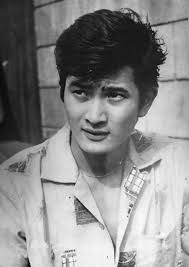 「不死身の村雨健二」の画像検索結果