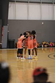 Image result for Hinckley & Bosworth Lady Hoops Basketball Club
