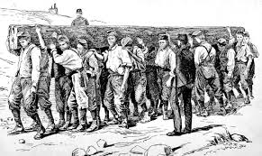 Image result for Freck Chain Gang